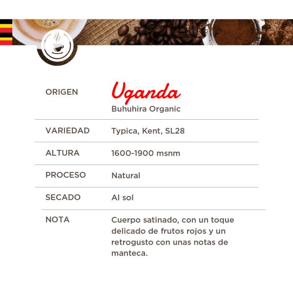 café cumbal, cafés tradicionales, café colombia, café origen, café mendoza, comprar café en mendoza, comprar café al por mayor, comprar café online mendoza,