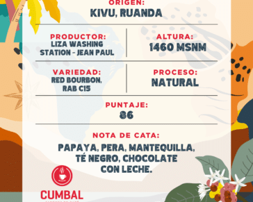 Café Finca Liza Washing Station - Jean Paul RUANDA, café cumbal