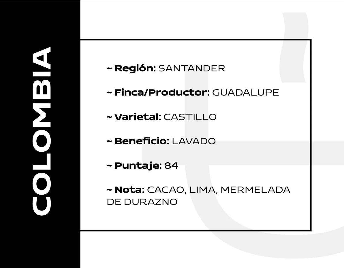 D_NQ_NP_2X_883704-MLA109779226346_042026-F